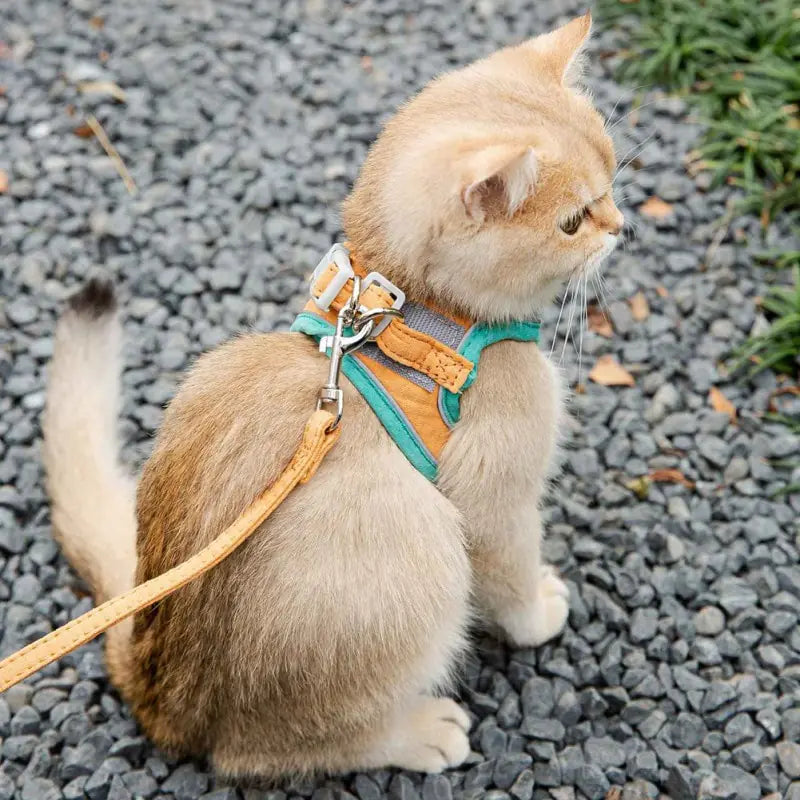 SafeGuard Cat Harness Leash Set