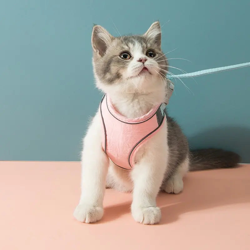 SafeGuard Cat Harness Leash Set