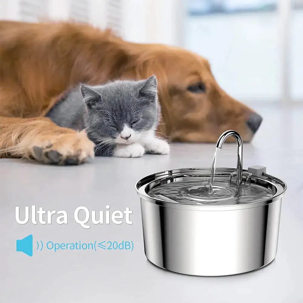 Pawpular Stainless Steel Fountain