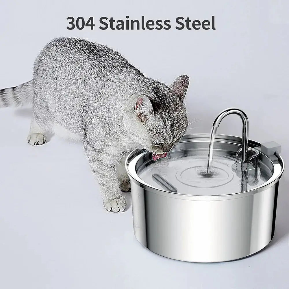 Pawpular Stainless Steel Fountain