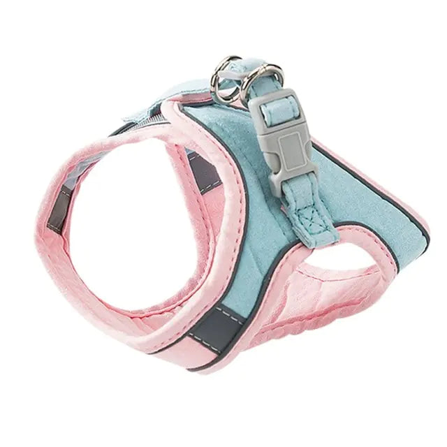 SafeGuard Cat Harness Leash Set