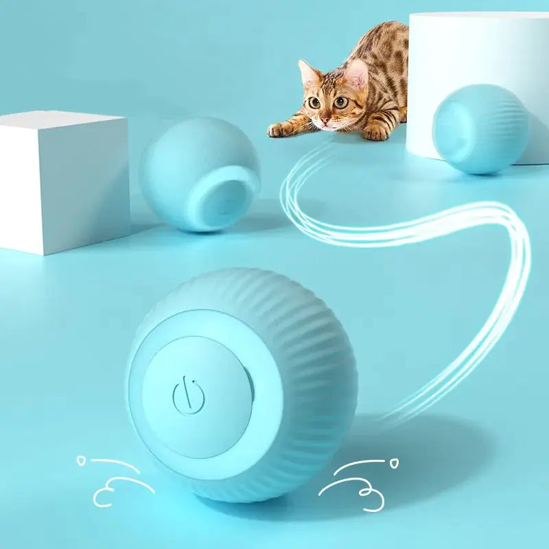 PawPounce Electric Ball Toy with Automatic Rolling